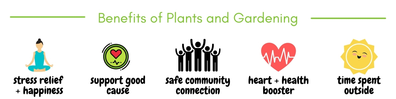 Benefits_of_Plants